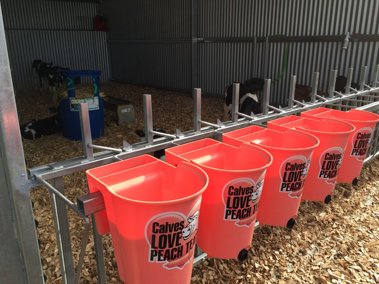 Peach Teats Reversible Calf Feeder - Pet And Farm