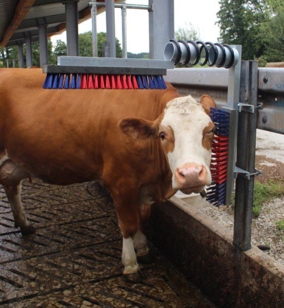 Scratch Brush Kerbl Cattle - Pet And Farm
