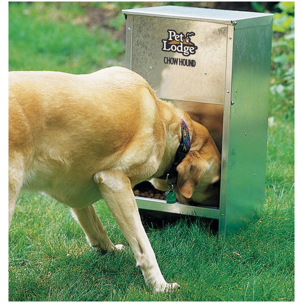 Dog Feeder Chow Hound
