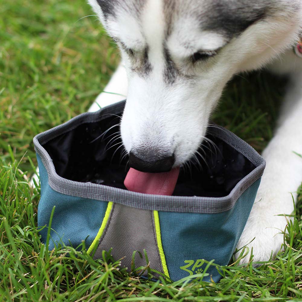 ZippyPaws Adventure Bowl - Pet And Farm