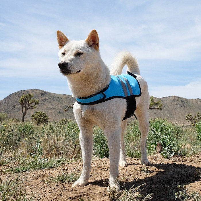 ZippyPaws COOLING VEST - Pet And Farm