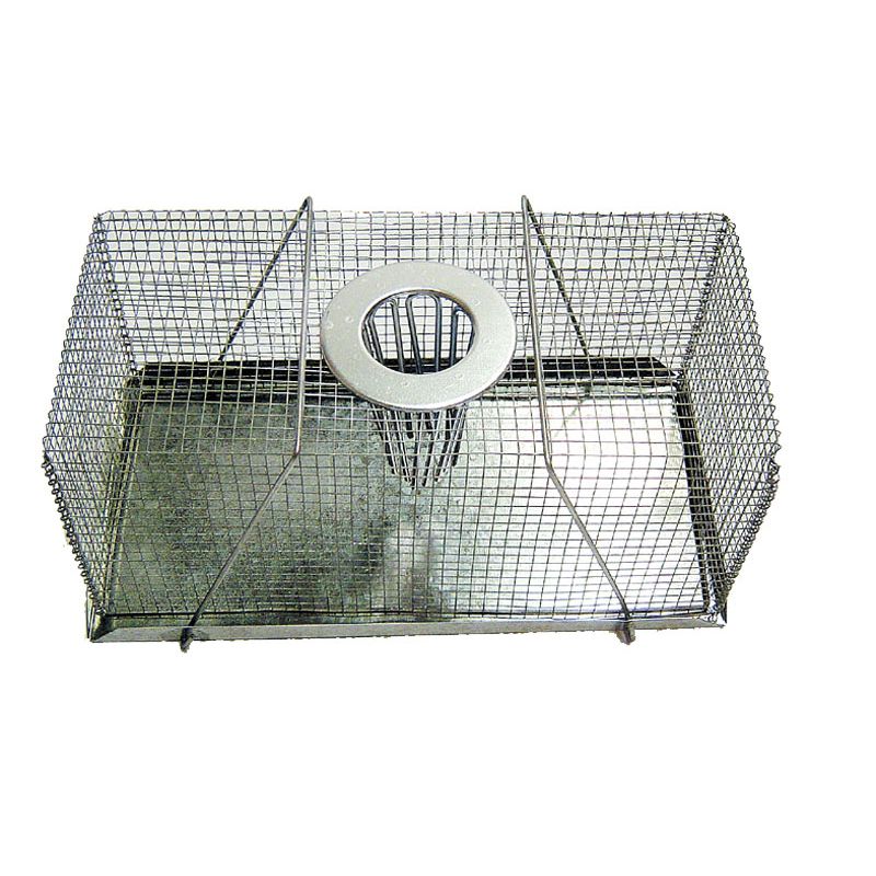 Rodent Mouse Trap – Top Entry 18cm - Pet And Farm