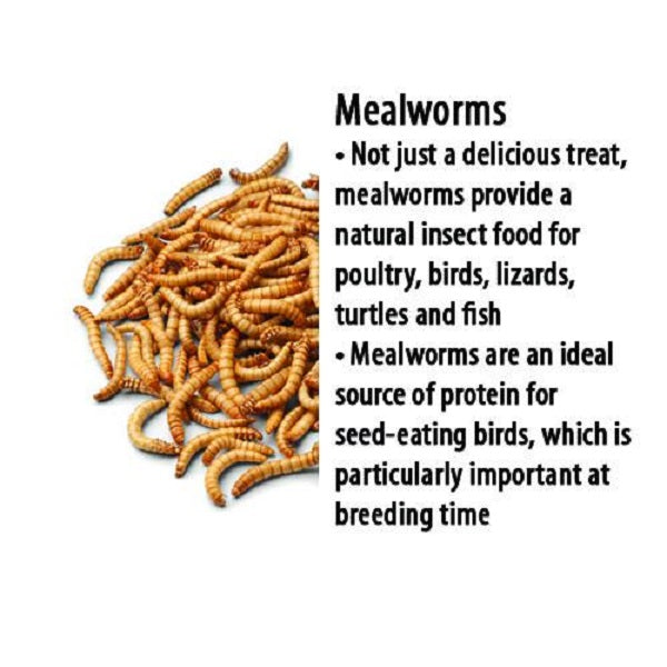 Freeze Dried Mealworms 285g - Pet And Farm