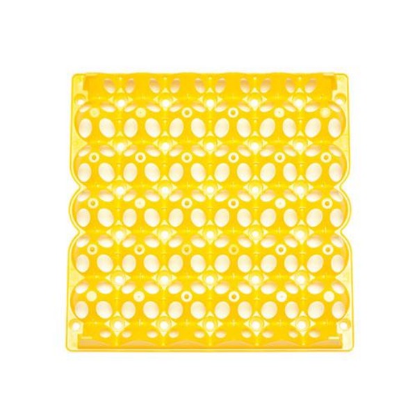Plastic Poultry 30 Egg Tray - Pet And Farm