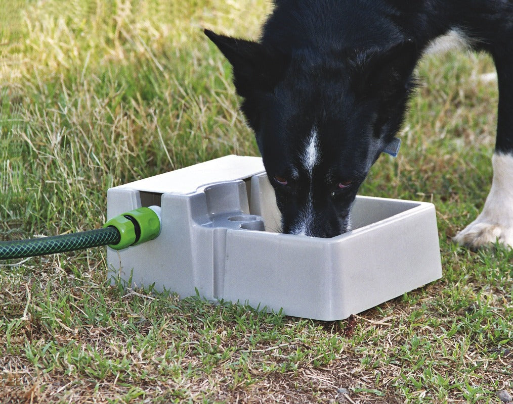 Bainbridge Automatic Pet Waterer 2Lts - Pet And Farm