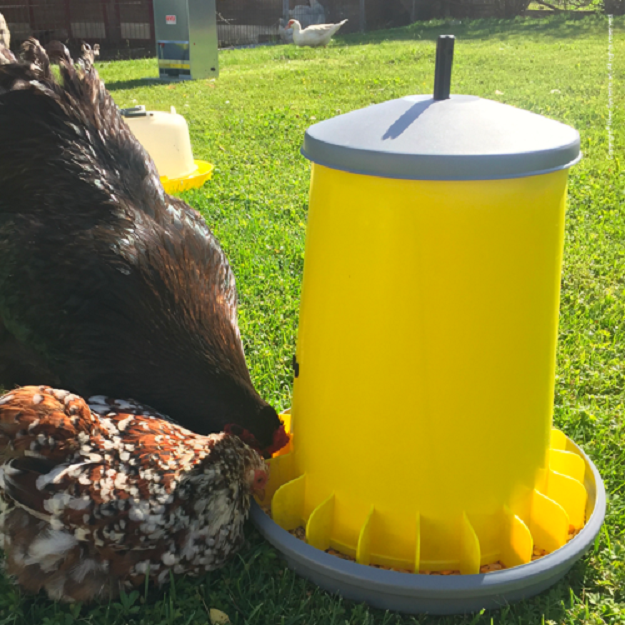 Bainbridge Supreme Poultry Feeder with Cover – 5kg - Pet And Farm