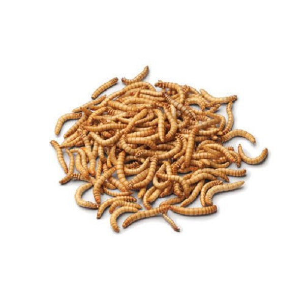 Freeze Dried Mealworms 285g - Pet And Farm