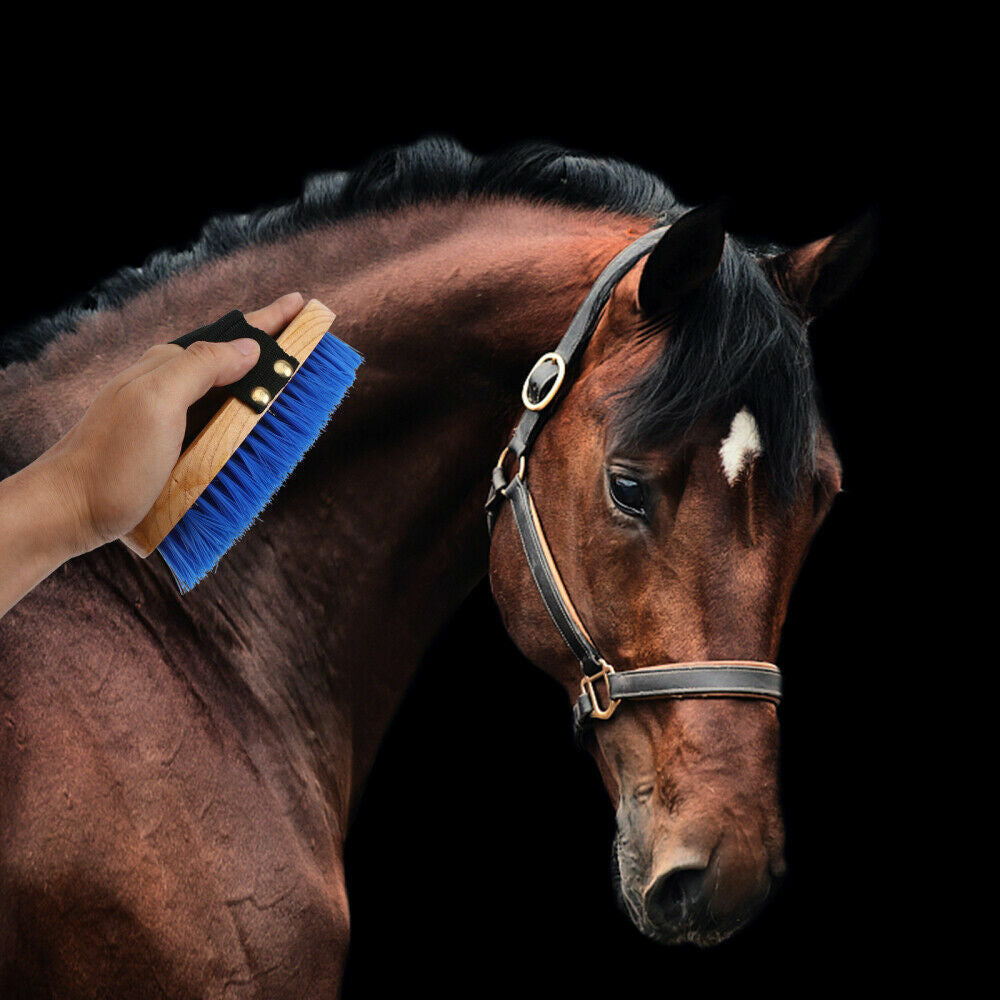 Horse Grooming Brush - Pet And Farm