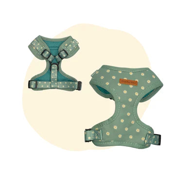 Sage Daisy Dog Harness - Pet And Farm