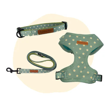 Sage Daisy Dog Harness - Pet And Farm