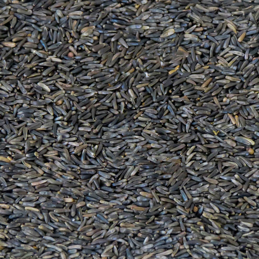 Niger Seed 5kg - Pet And Farm