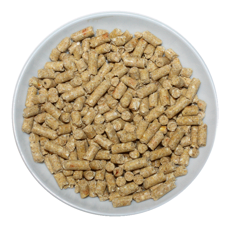Passwell Parrot Pellets 1kg - Pet And Farm
