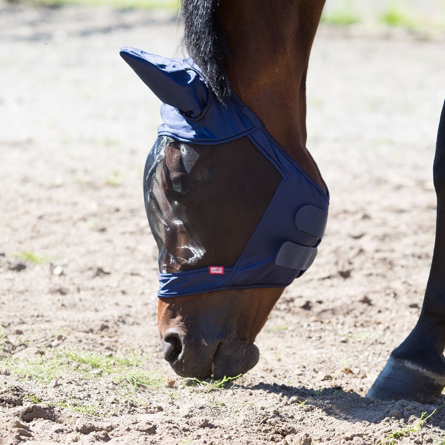Horze Supreme Cayman Fly Mask - Pet And Farm