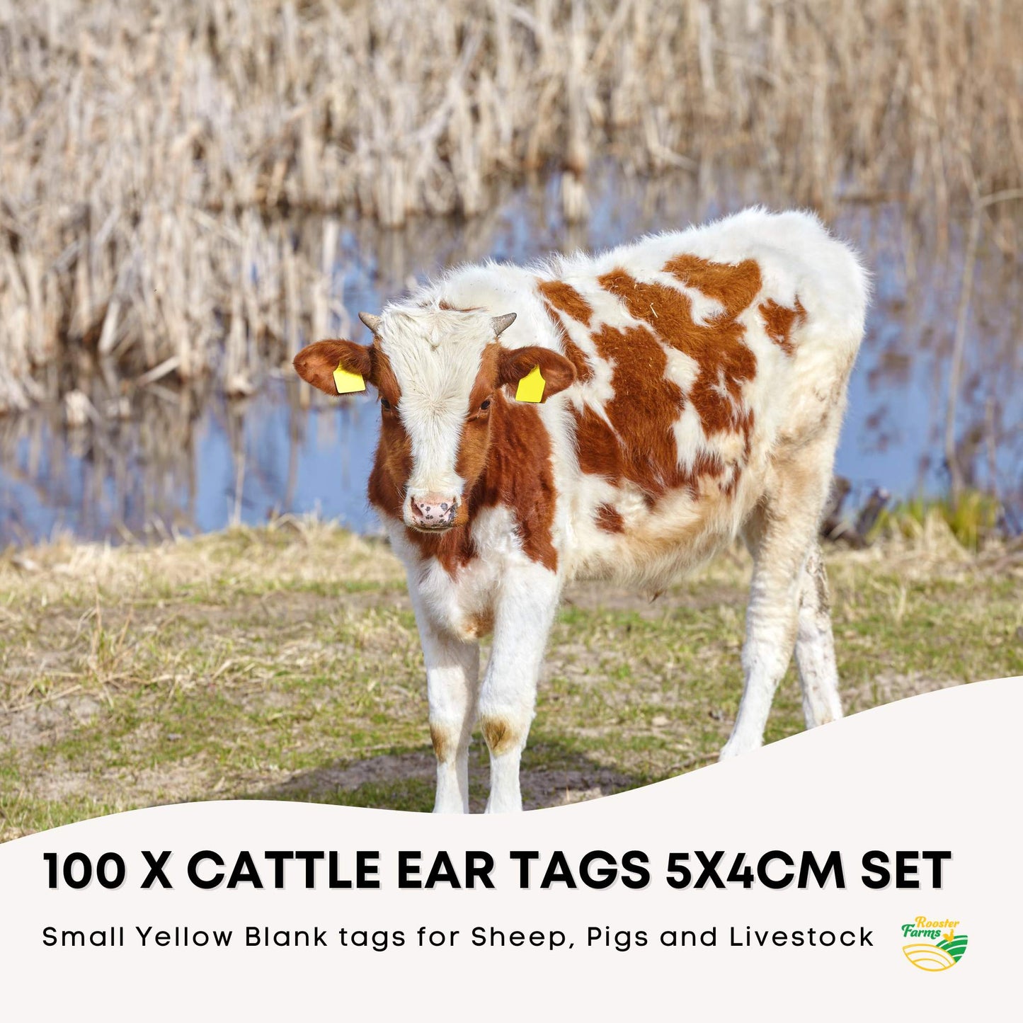 100x Cattle Ear Tags 5x4cm Set - Small Yellow Blank Sheep Pig Livestock Label - Pet And Farm
