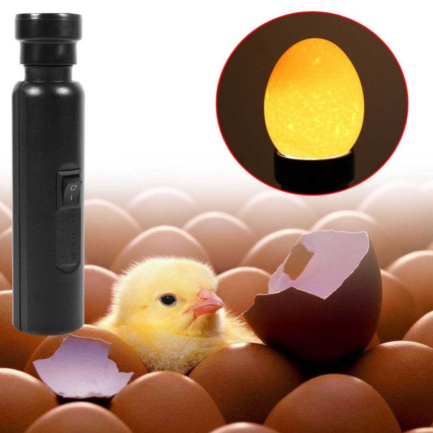 AU Plug Egg Candler Lamp - LED Cool Light Chicken Duck Quail Hatching Incubator - Pet And Farm