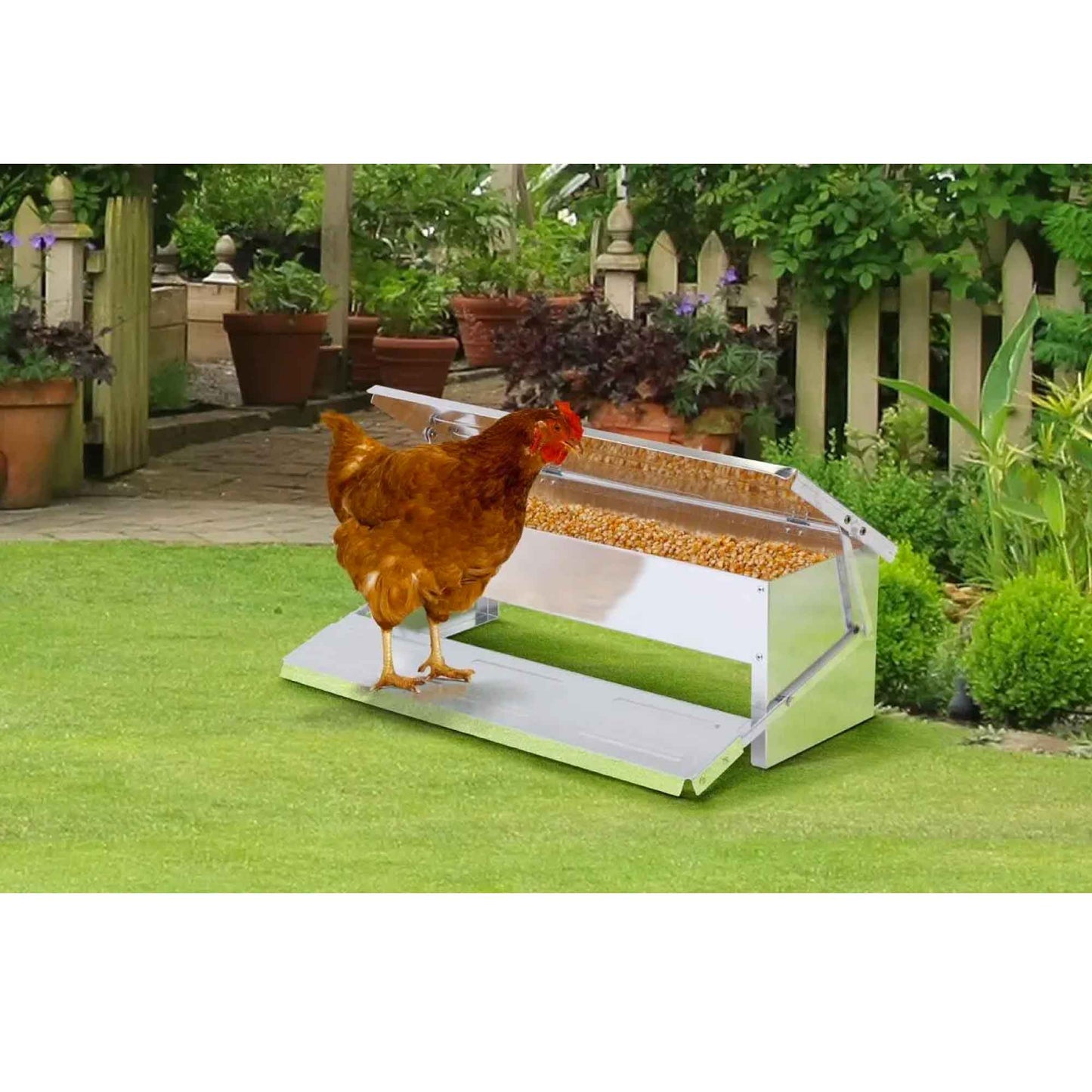 11L Automatic Chook Chicken Feeder Poultry Auto Treadle Aluminium Metal Feeders - Pet And Farm