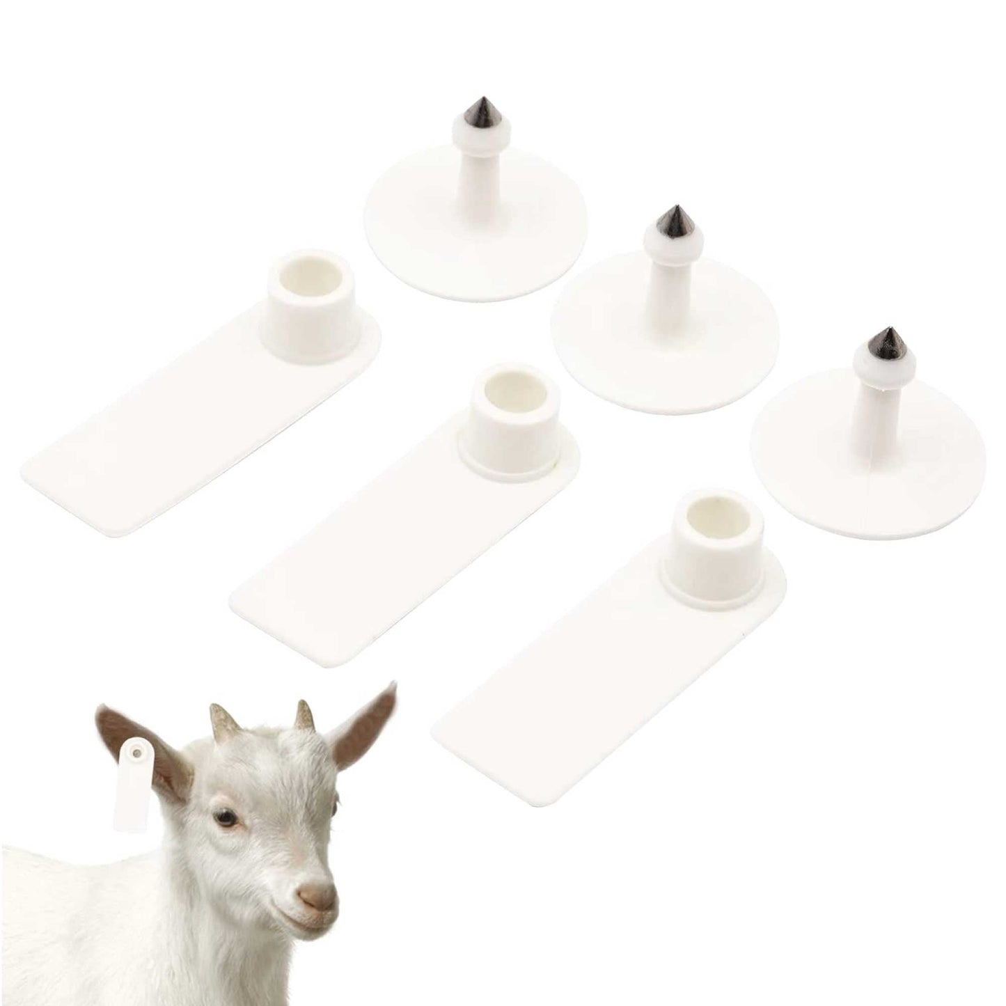 100x Cattle Ear Tags 5x2cm Set - Mini White Blank Pig Goat Livestock Label - Pet And Farm