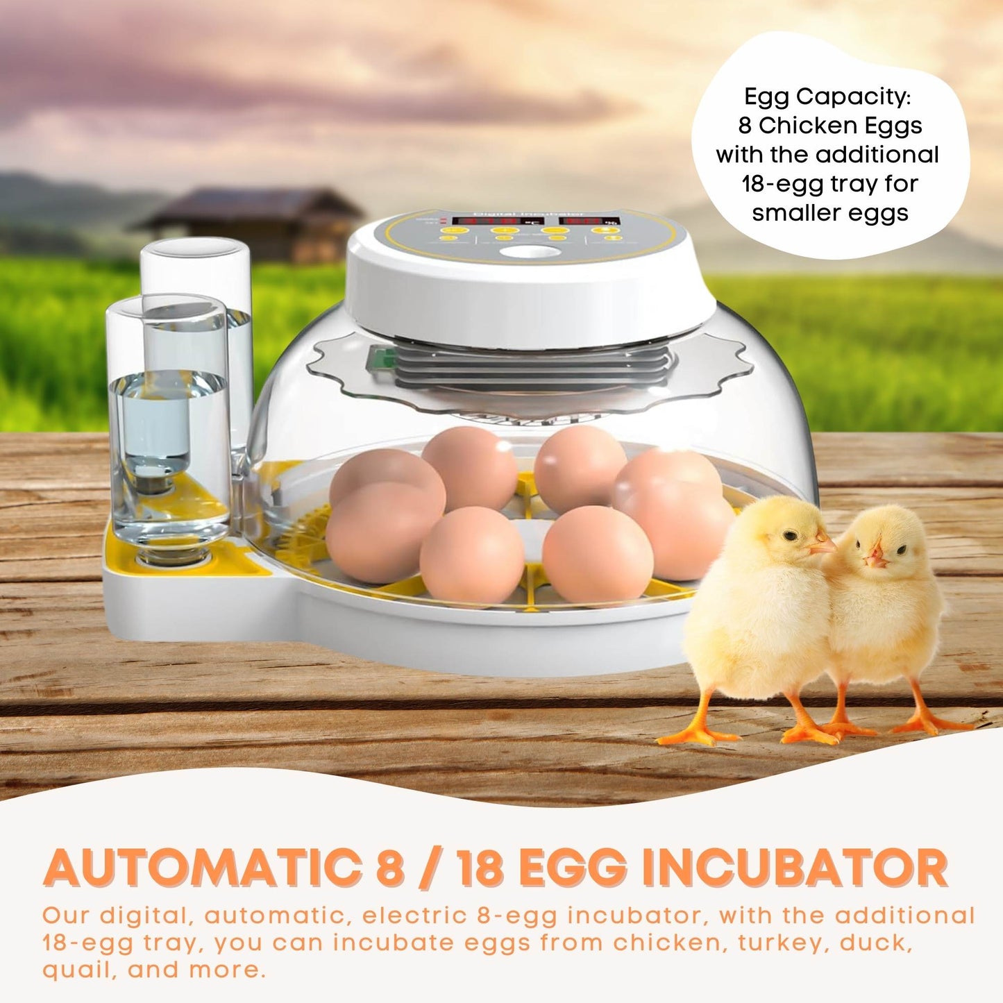 Automatic 8 / 18 Egg Incubator - Electrical Turning Chicken Quail Duck Hatching - Pet And Farm