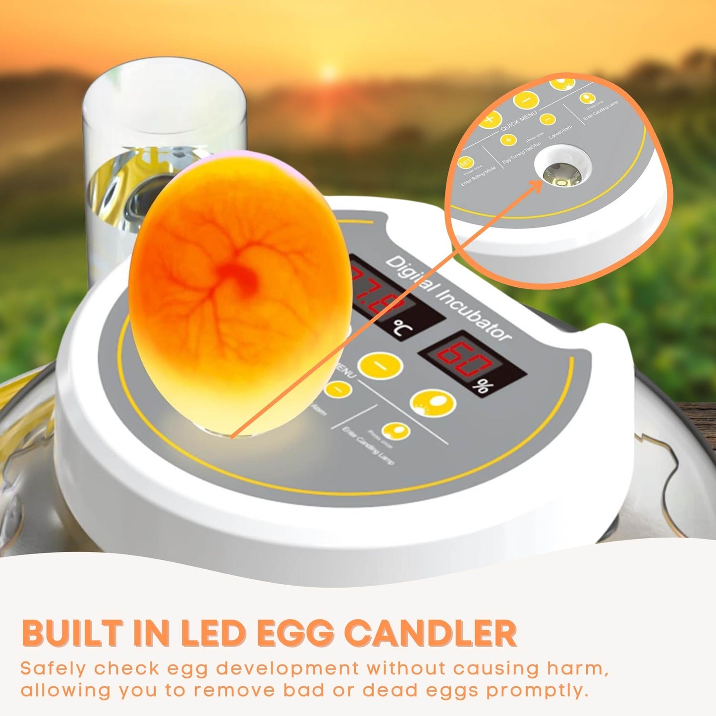 Automatic 8 / 18 Egg Incubator - Electrical Turning Chicken Quail Duck Hatching - Pet And Farm