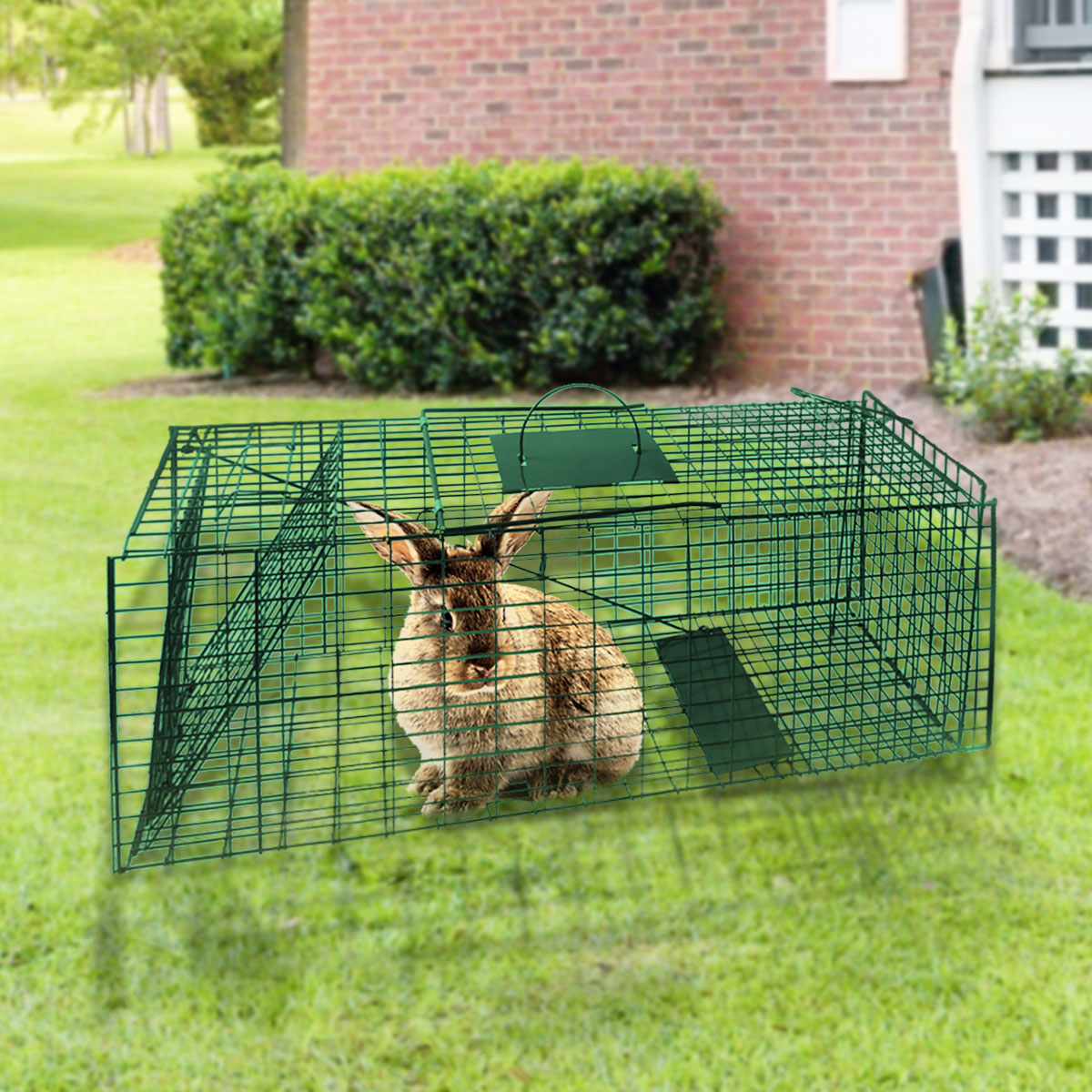Klika Humane Live Animal Trap Possum Rat Rabbit Hare Catcher Folding Cage - Pet And Farm