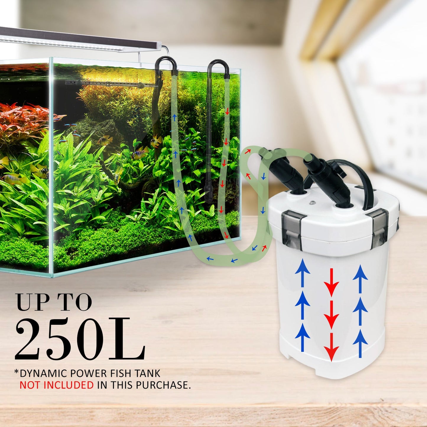 Dynamic Power Aquarium External Canister Filter 1000L/H - Pet And Farm