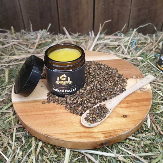 Vital Equine | Hemp & Lemon Myrtle balm 120g - Pet And Farm