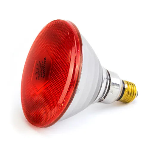 Infrared Light and Heating Bulbs 175w Red - Pet And Farm