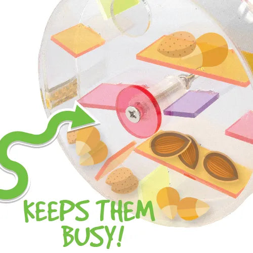 Bird Toy Foraging Cage Wheel 15cm - Pet And Farm