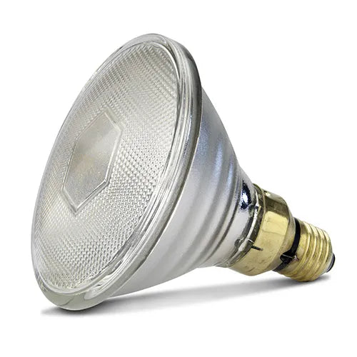 Infrared Heat Lamp Bulb - Clear - Pet And Farm