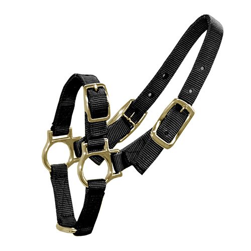 Halter Sheep & Goats - Pet And Farm