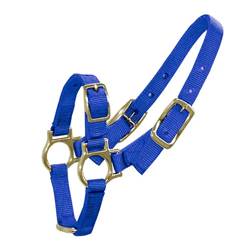 Halter Sheep & Goats - Pet And Farm