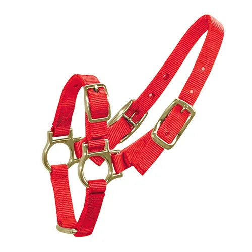 Halter Sheep & Goats - Pet And Farm