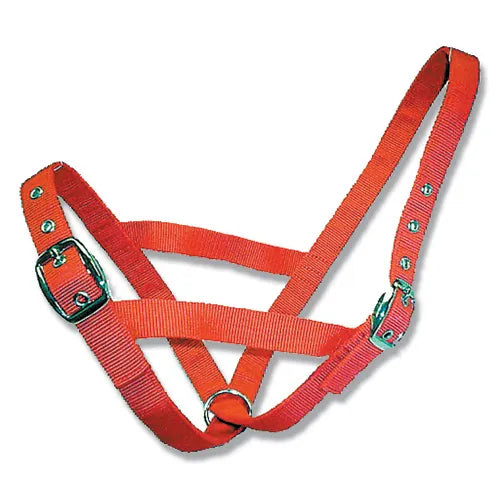 Cattle Halter Webbing - Pet And Farm