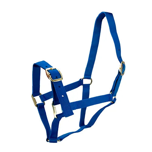 Horse Halter Nylon - Pet And Farm