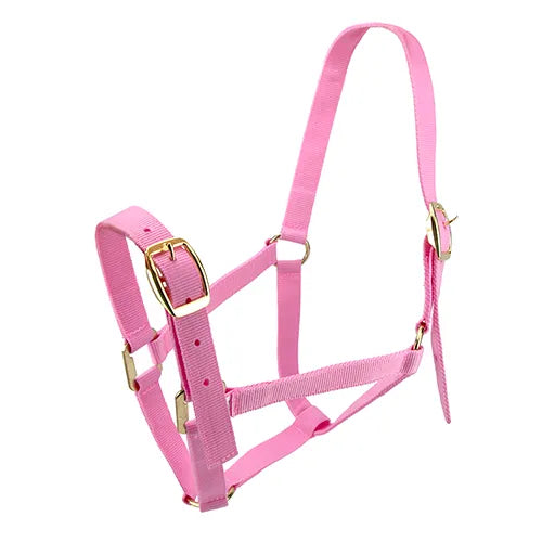 Horse Halter Nylon - Pet And Farm