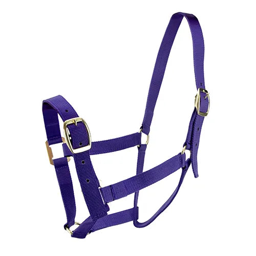 Horse Halter Nylon - Pet And Farm