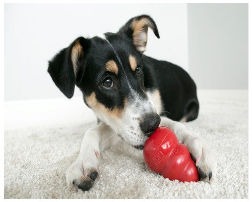 Kong Dog Classic Toy - Pet And Farm