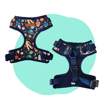 Outer Space Dog Harness - Pet And Farm