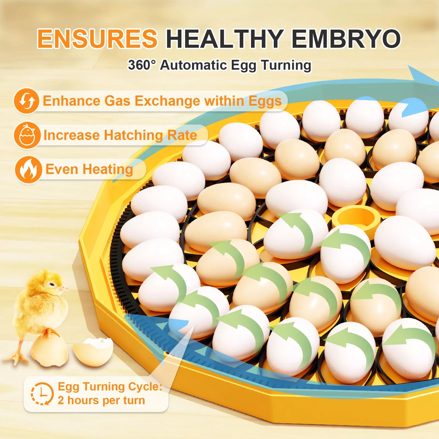 Incubator JANOEL N-48 up to 48 Egg Capacity