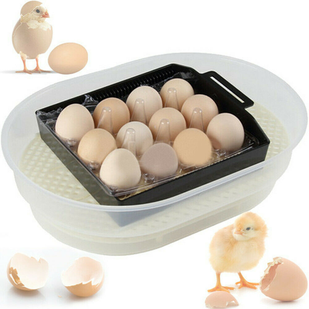Incubator Automatic 12 Egg - Pet And Farm