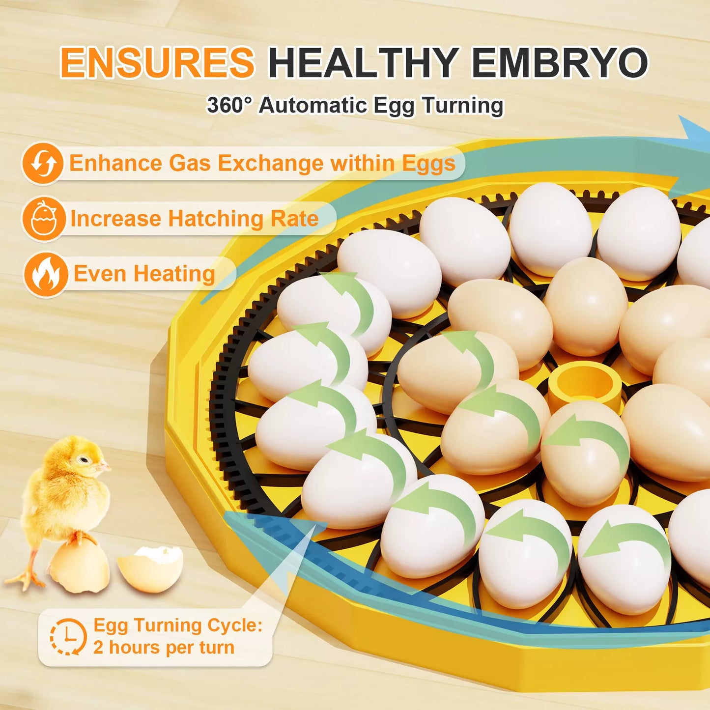 Incubator JANOEL 26 up to 60 Egg Capacity