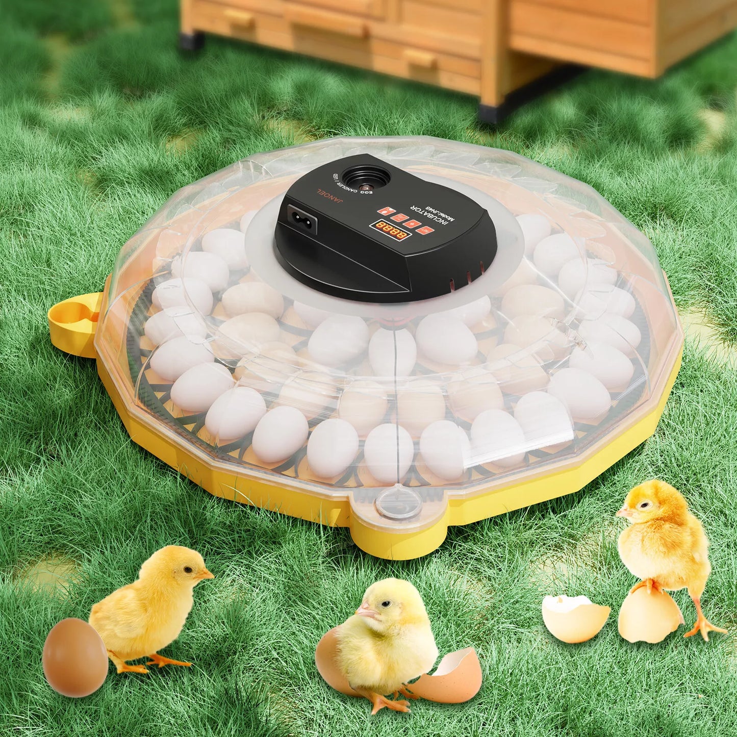 Incubator JANOEL N-48 up to 48 Egg Capacity