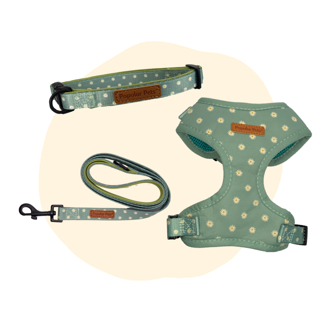 Sage Daisy Dog Lead - Pet And Farm