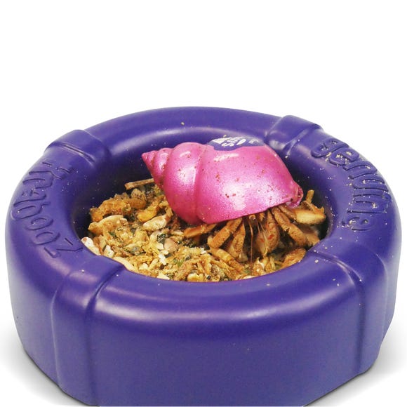 Hermit Crab Crunchy Treats 60g - Pet And Farm