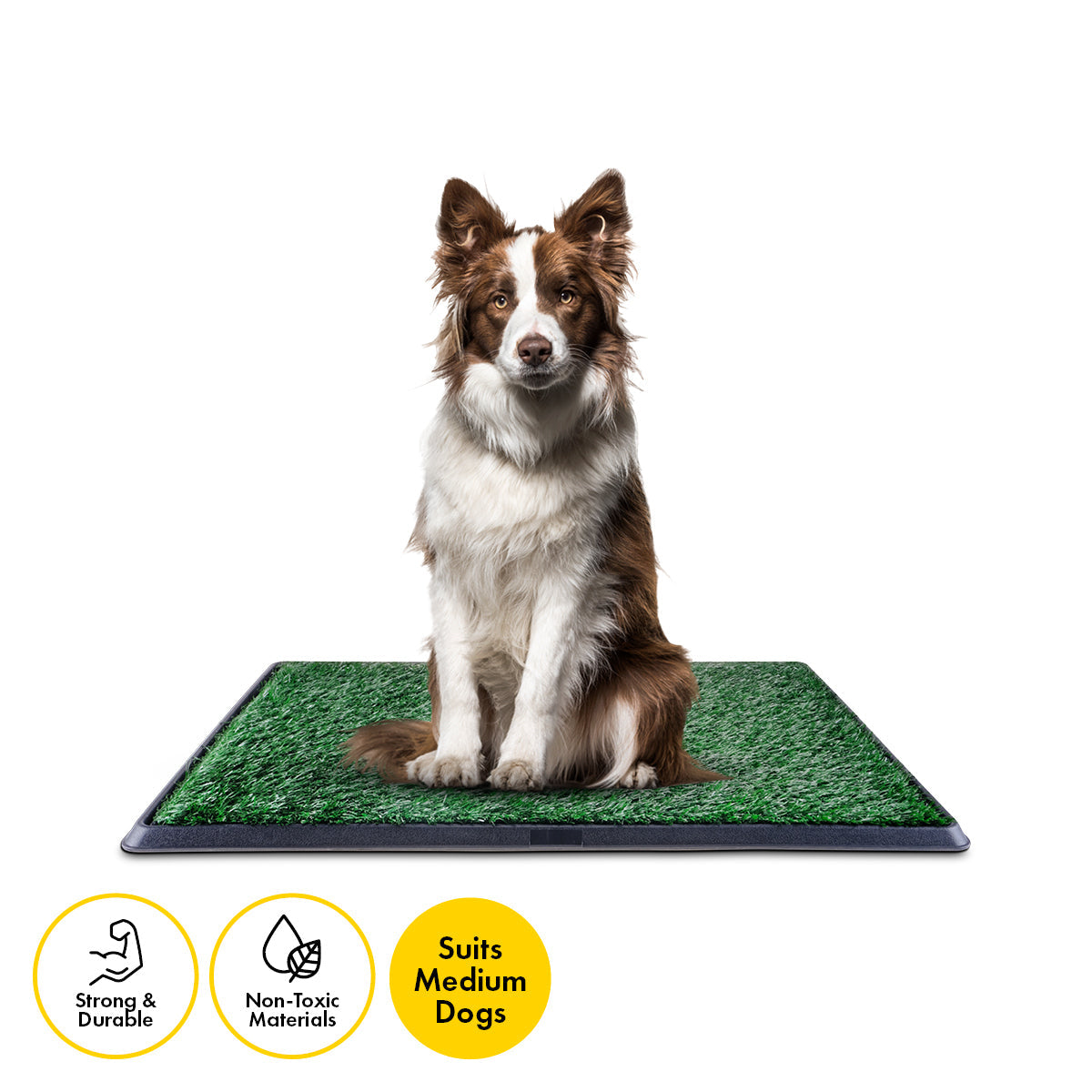 Pet Basic Portable Dog Potty Trainer 3 Layer System Odour Resistant 76 x 50cm - Pet And Farm