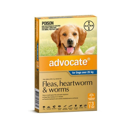 Advocate Blue Spot-On for XLarge Dogs Over 25kg 3 Pack - Pet And Farm