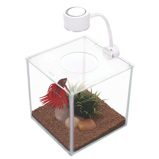 Cubus Betta Kit Unit - Pet And Farm
