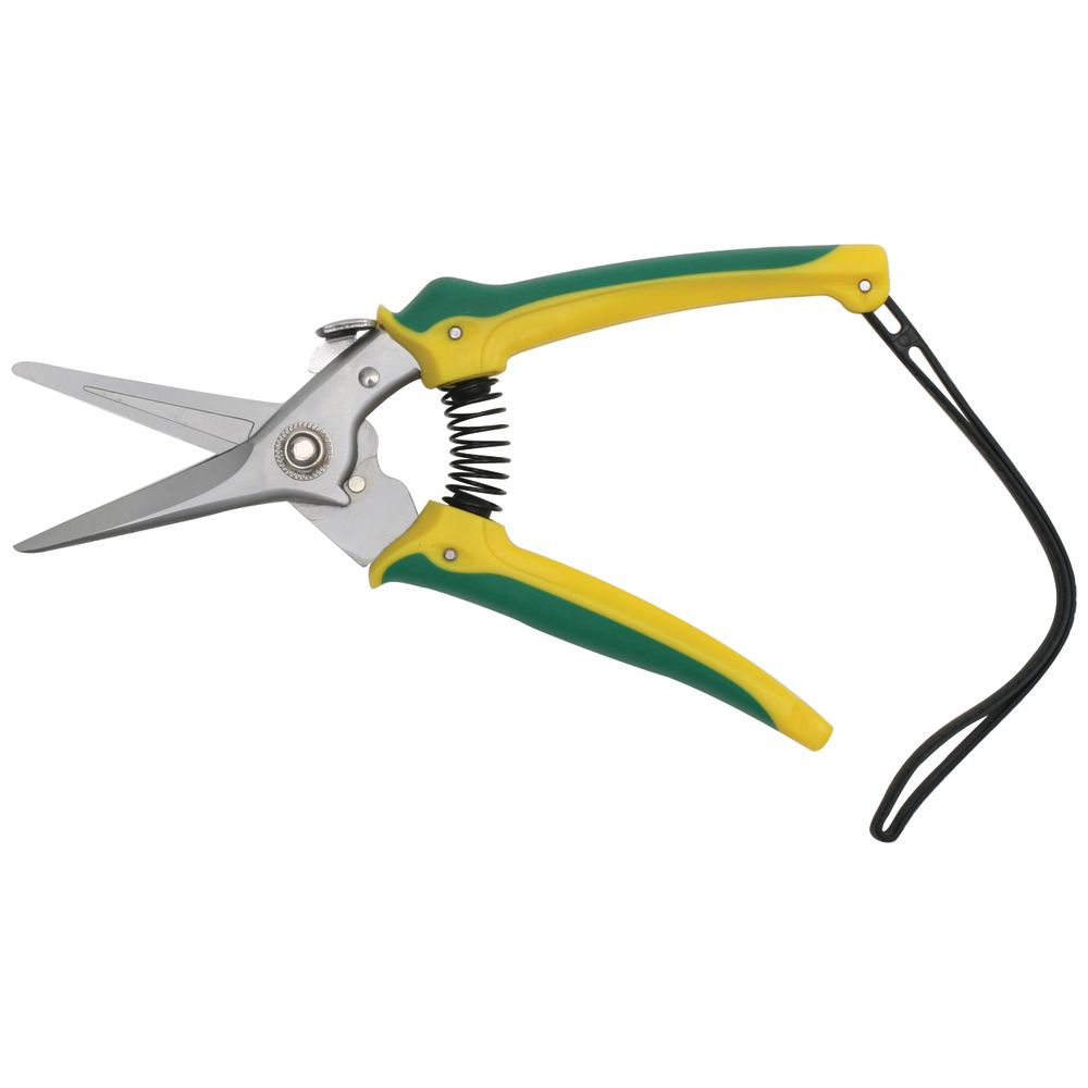 Aussie Hoof Shears - Pet And Farm