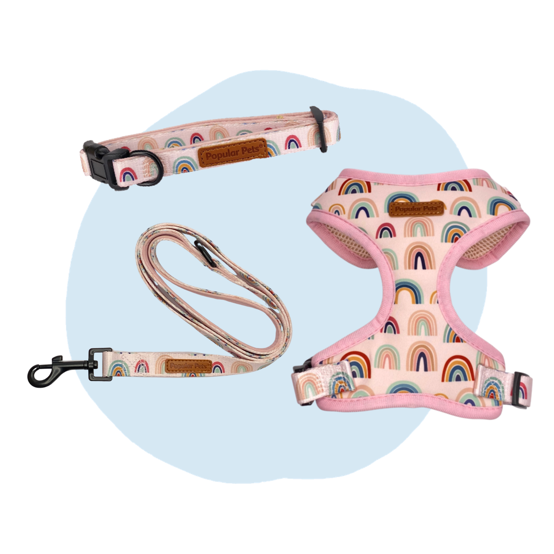 Boho Rainbow Dog Collar - Pet And Farm