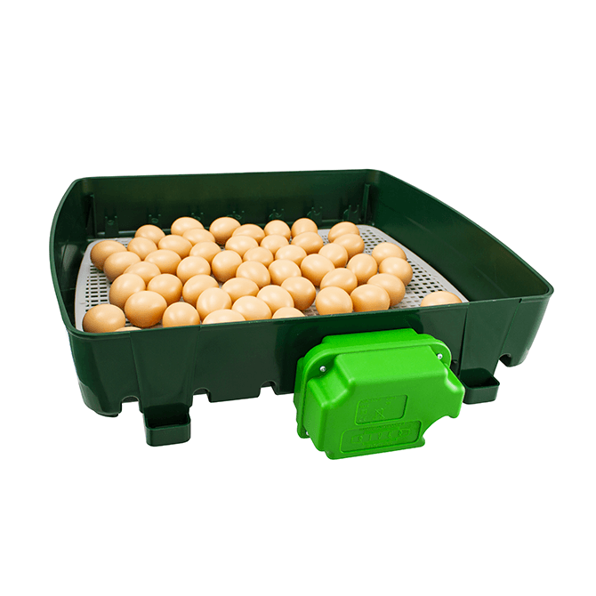 Egg Tech Incubators - Pet And Farm